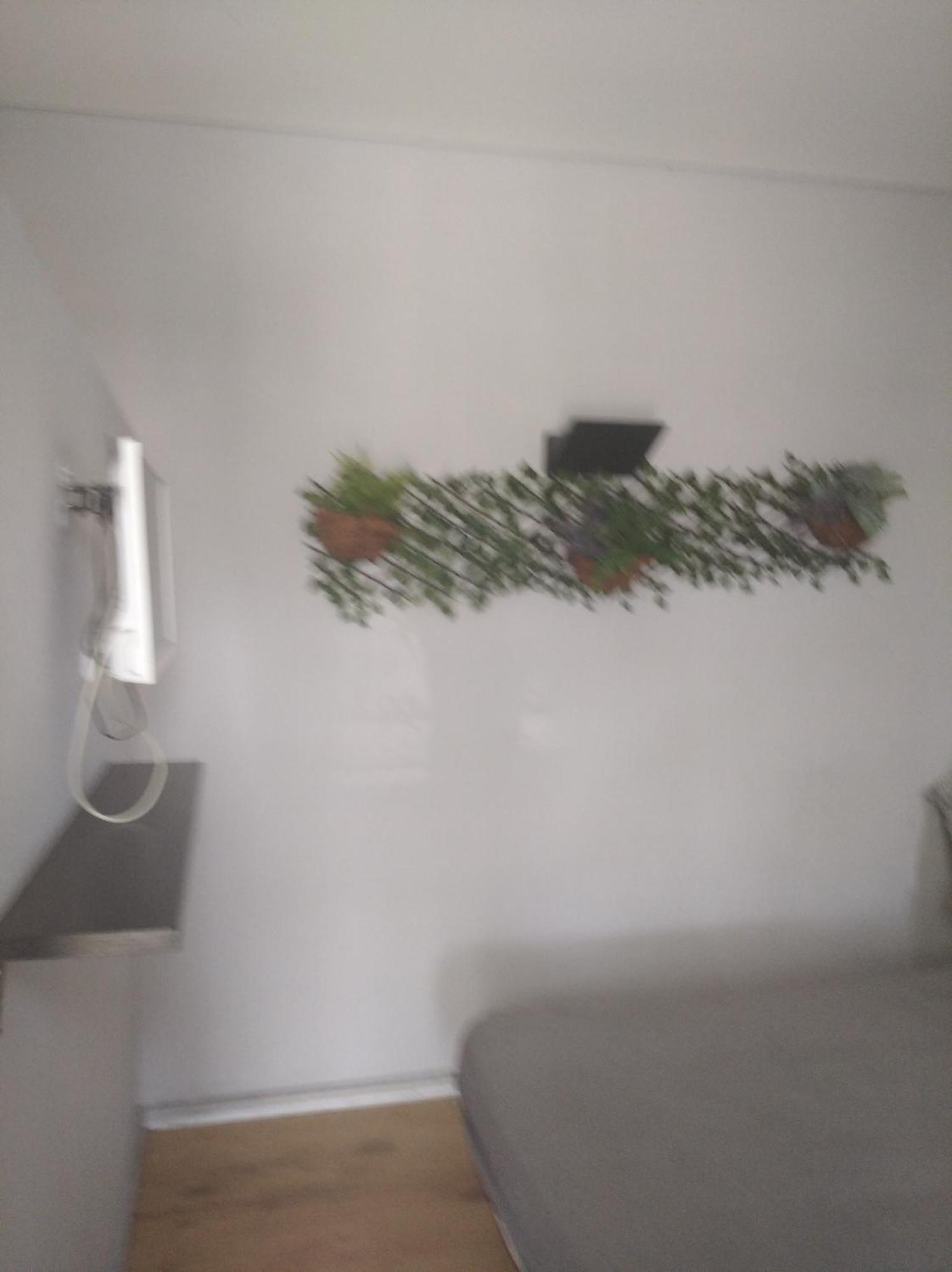 Porto Estudio Campanha Zewnętrze zdjęcie